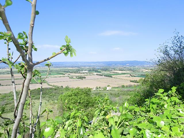 VALLEE  DU RHONE 055.jpg